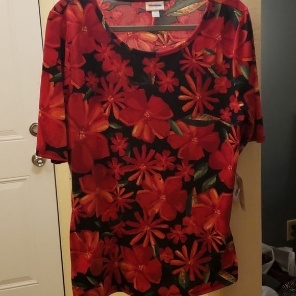LuLaRoe Tops - LulaRoe womens T-shirt size 2X